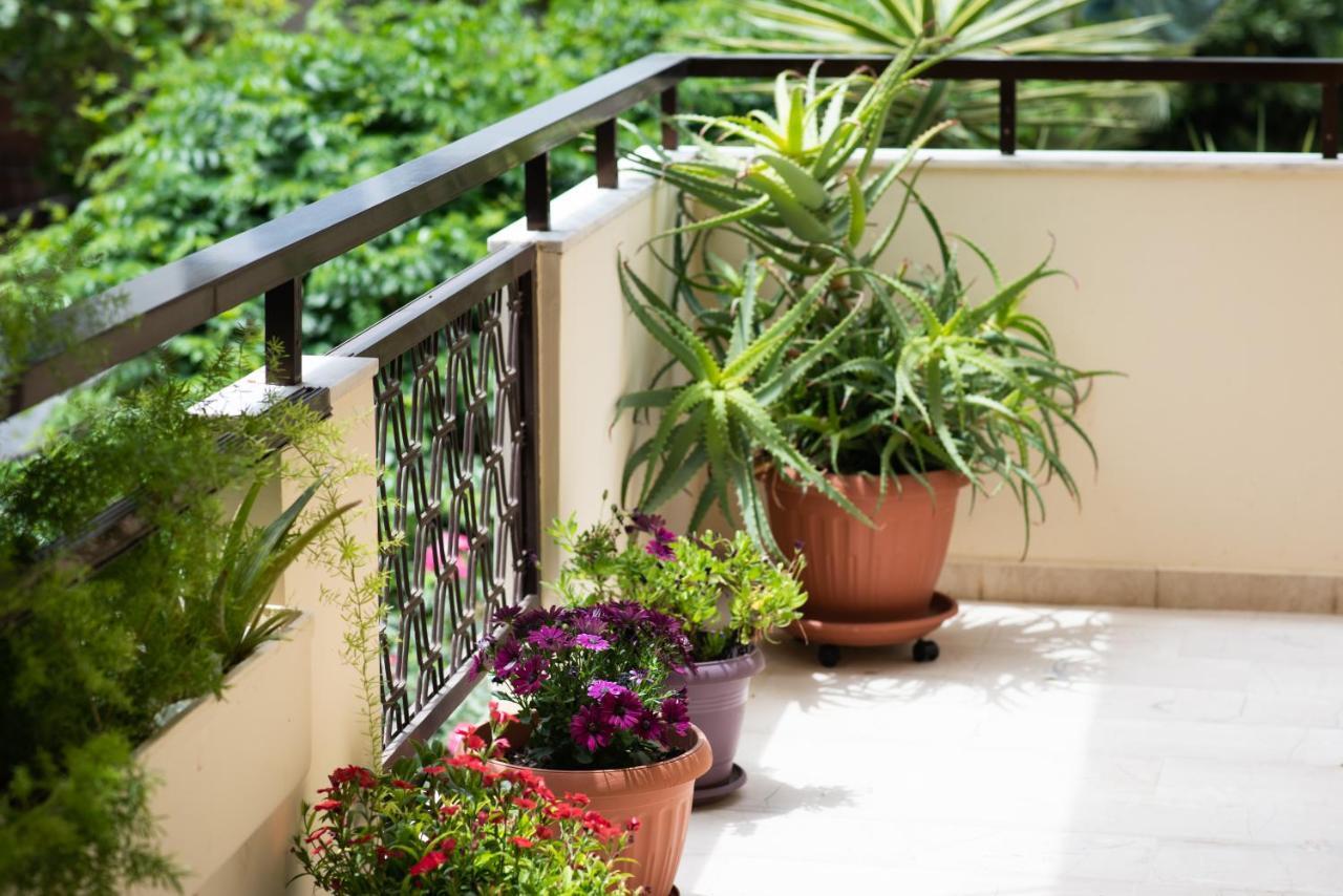 Dreamy Holidays Apartment Hanya Dış mekan fotoğraf